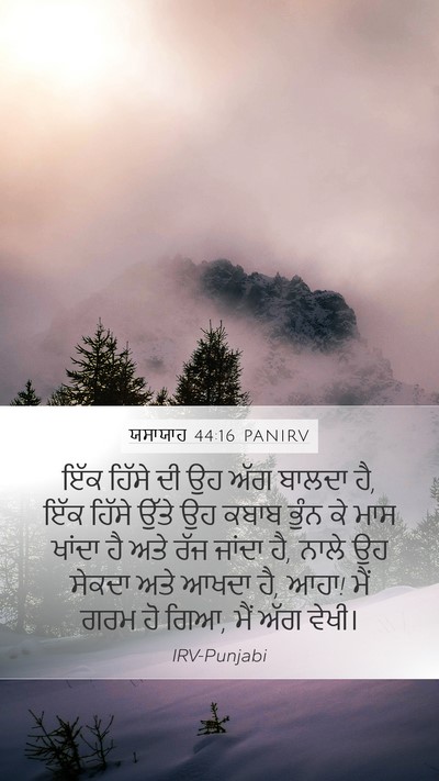 ਯਸਾਯਾਹ 44:16 PANIRV Bible Verse Image