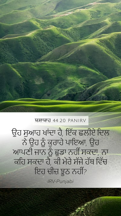 ਯਸਾਯਾਹ 44:20 PANIRV Bible Verse Image
