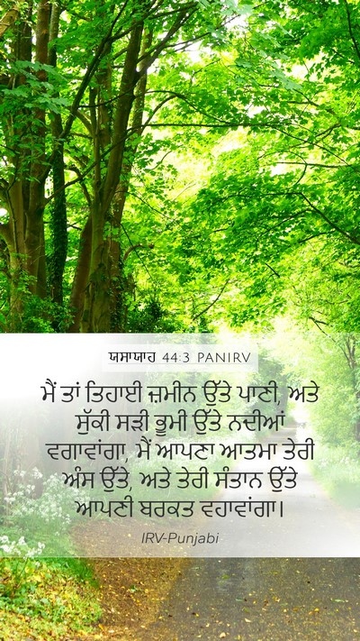 ਯਸਾਯਾਹ 44:3 PANIRV Bible Verse Image