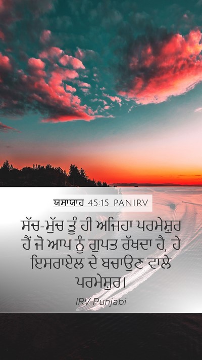 ਯਸਾਯਾਹ 45:15 PANIRV Bible Verse Image