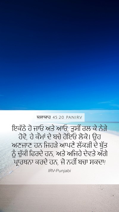 ਯਸਾਯਾਹ 45:20 PANIRV Bible Verse Image