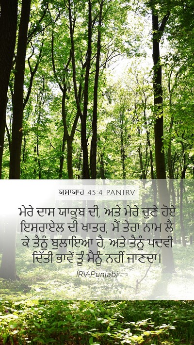ਯਸਾਯਾਹ 45:4 PANIRV Bible Verse Image