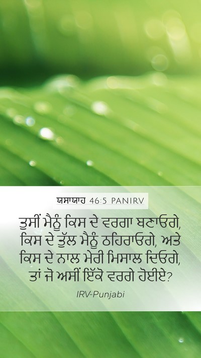 ਯਸਾਯਾਹ 46:5 PANIRV Bible Verse Image