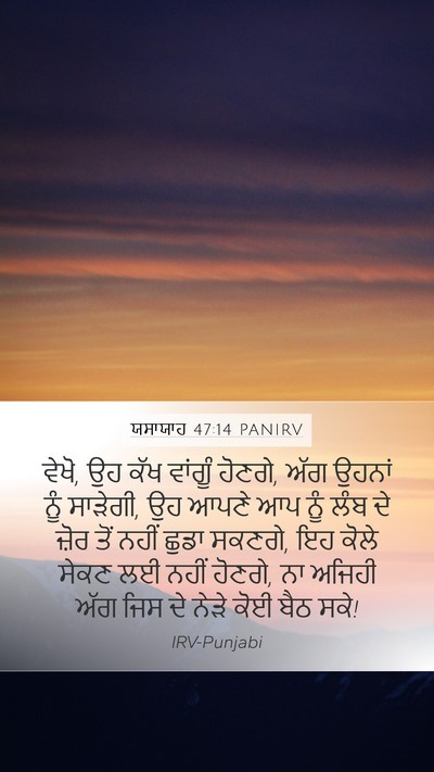 ਯਸਾਯਾਹ 47:14 PANIRV Bible Verse Image