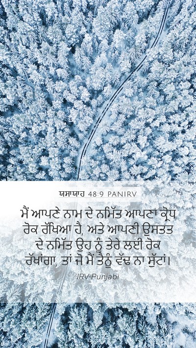 ਯਸਾਯਾਹ 48:9 PANIRV Bible Verse Image