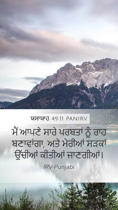 ਯਸਾਯਾਹ 49:11 PANIRV Bible Verse Image