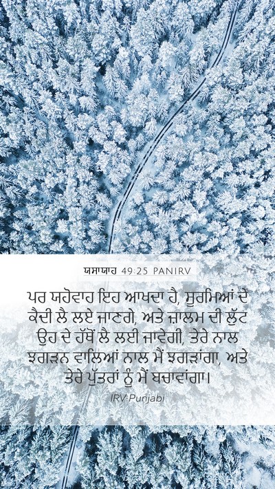 ਯਸਾਯਾਹ 49:25 PANIRV Bible Verse Image