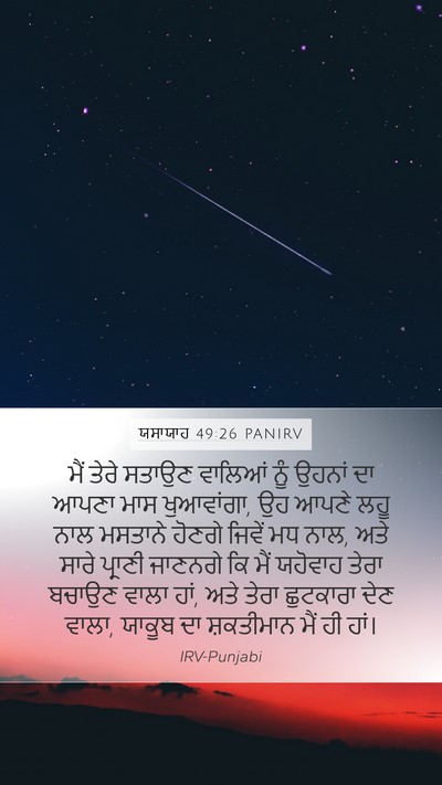 ਯਸਾਯਾਹ 49:26 PANIRV Bible Verse Image
