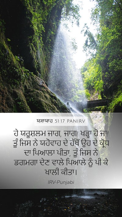 ਯਸਾਯਾਹ 51:17 PANIRV Bible Verse Image