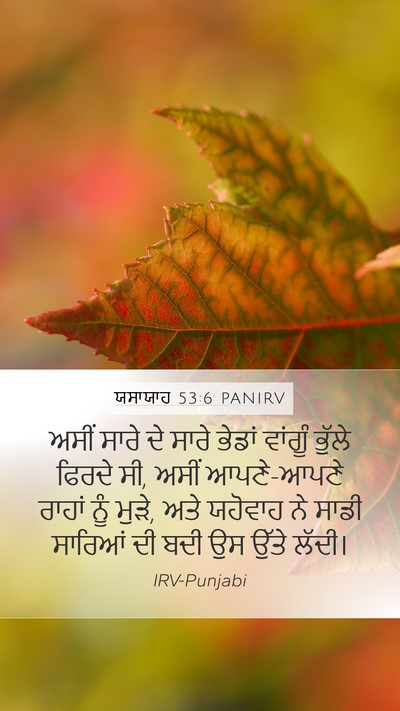 ਯਸਾਯਾਹ 53:6 PANIRV Bible Verse Image