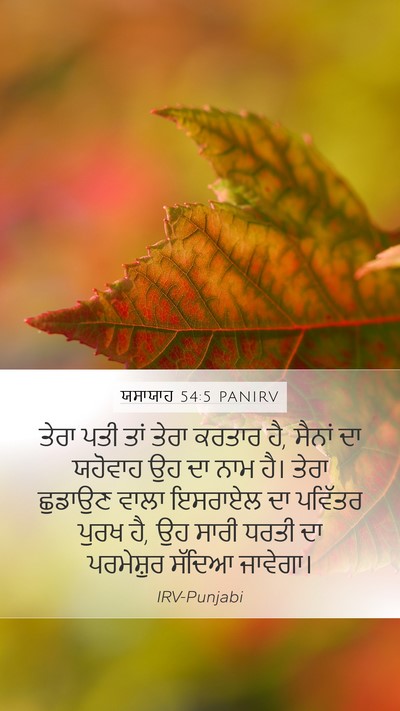 ਯਸਾਯਾਹ 54:5 PANIRV Bible Verse Image