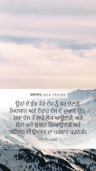 ਯਸਾਯਾਹ 60:6 PANIRV Bible Verse Image