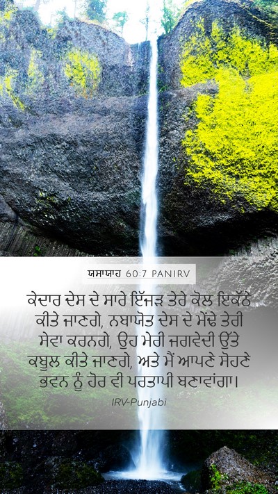 ਯਸਾਯਾਹ 60:7 PANIRV Bible Verse Image