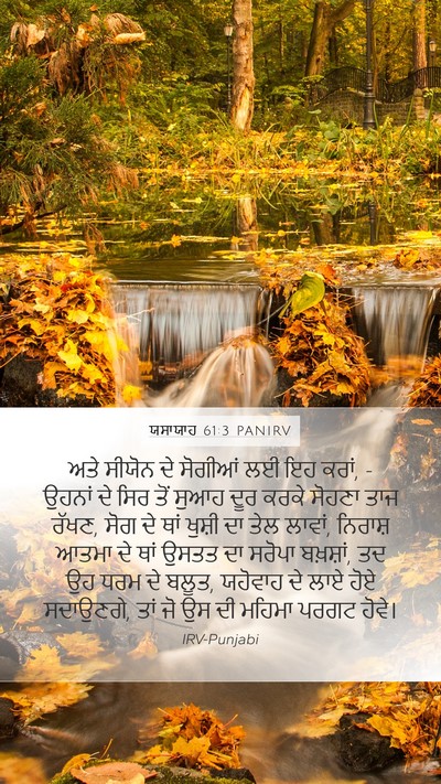 ਯਸਾਯਾਹ 61:3 PANIRV Bible Verse Image