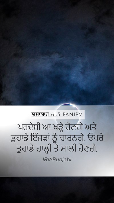 ਯਸਾਯਾਹ 61:5 PANIRV Bible Verse Image