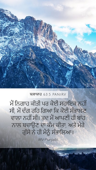 ਯਸਾਯਾਹ 63:5 PANIRV Bible Verse Image
