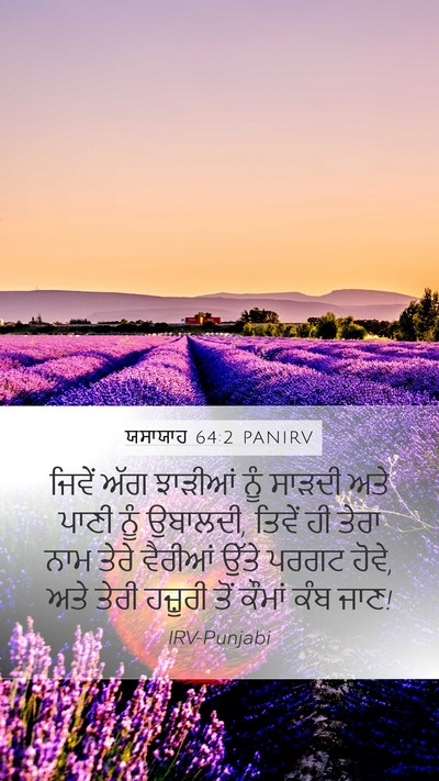 ਯਸਾਯਾਹ 64:2 PANIRV Bible Verse Image
