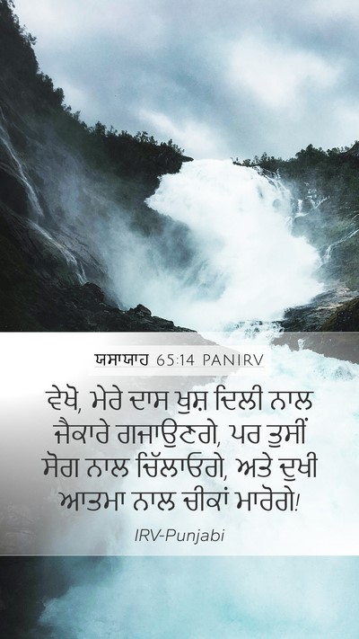 ਯਸਾਯਾਹ 65:14 PANIRV Bible Verse Image