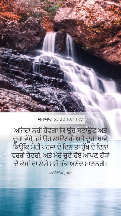 ਯਸਾਯਾਹ 65:22 PANIRV Bible Verse Image
