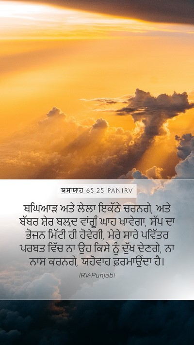 ਯਸਾਯਾਹ 65:25 PANIRV Bible Verse Image