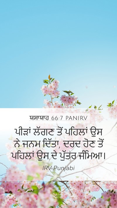 ਯਸਾਯਾਹ 66:7 PANIRV Bible Verse Image