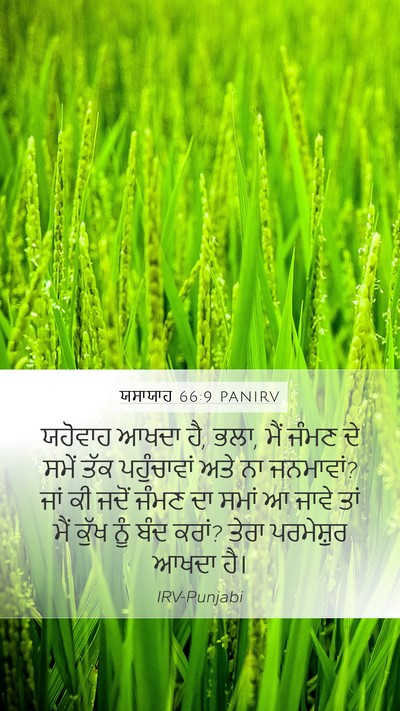 ਯਸਾਯਾਹ 66:9 PANIRV Bible Verse Image