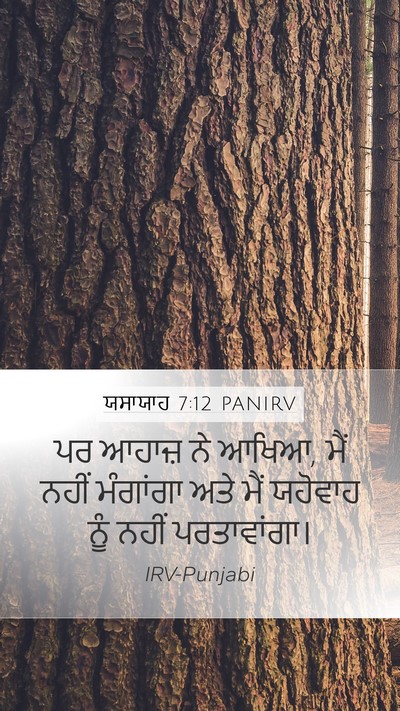 ਯਸਾਯਾਹ 7:12 PANIRV Bible Verse Image