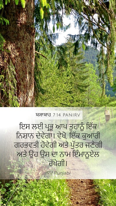 ਯਸਾਯਾਹ 7:14 PANIRV Bible Verse Image