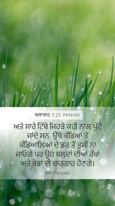ਯਸਾਯਾਹ 7:25 PANIRV Bible Verse Image