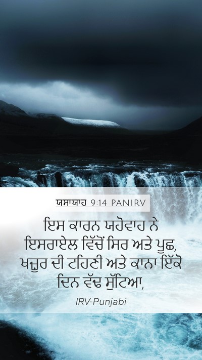 ਯਸਾਯਾਹ 9:14 PANIRV Bible Verse Image