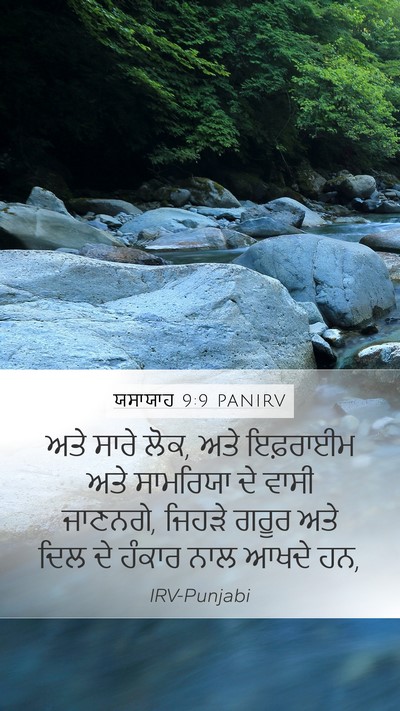 ਯਸਾਯਾਹ 9:9 PANIRV Bible Verse Image