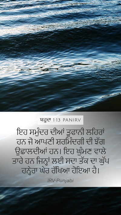 ਯਹੂਦਾ 1:13 PANIRV Bible Verse Image