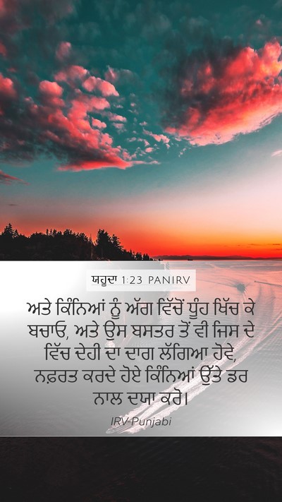 ਯਹੂਦਾ 1:23 PANIRV Bible Verse Image
