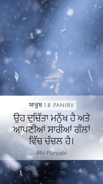 ਯਾਕੂਬ 1:8 PANIRV Bible Verse Image