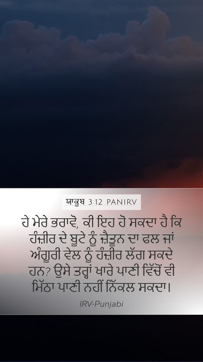 ਯਾਕੂਬ 3:12 PANIRV Bible Verse Image
