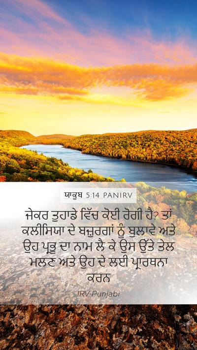 ਯਾਕੂਬ 5:14 PANIRV Bible Verse Image