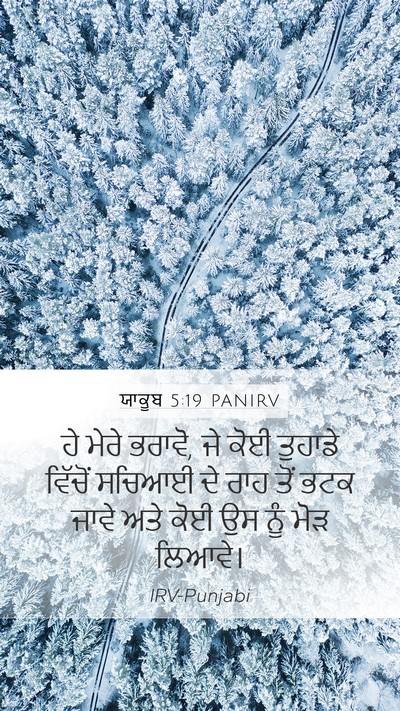 ਯਾਕੂਬ 5:19 PANIRV Bible Verse Image