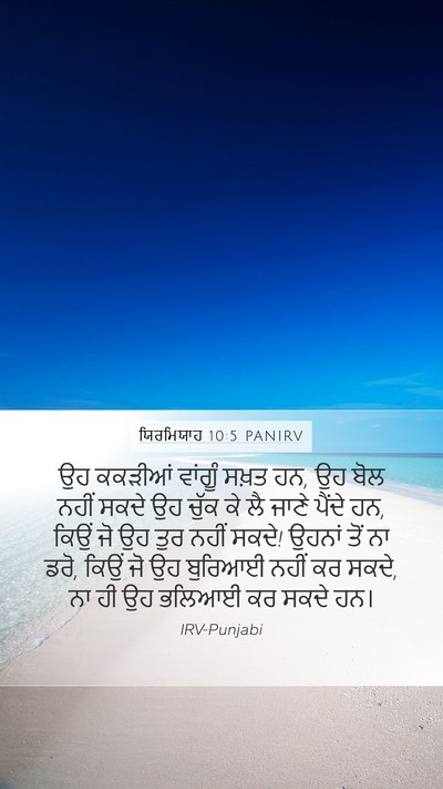 ਯਿਰਮਿਯਾਹ 10:5 PANIRV Bible Verse Image
