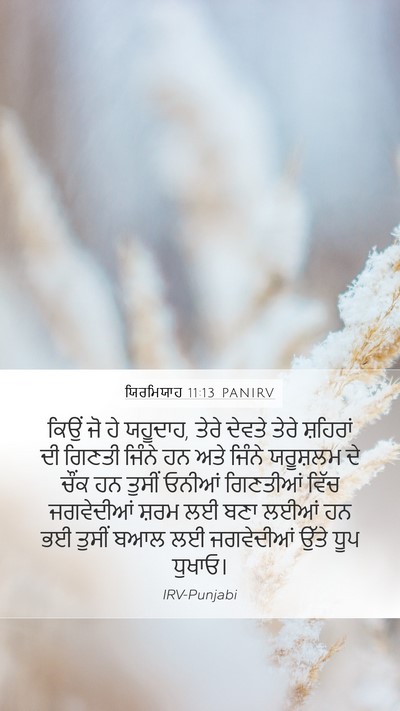 ਯਿਰਮਿਯਾਹ 11:13 PANIRV Bible Verse Image