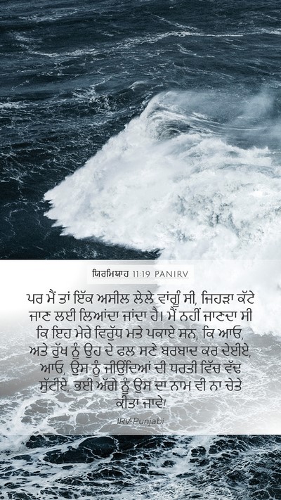 ਯਿਰਮਿਯਾਹ 11:19 PANIRV Bible Verse Image