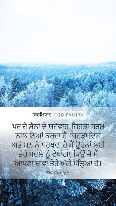 ਯਿਰਮਿਯਾਹ 11:20 PANIRV Bible Verse Image