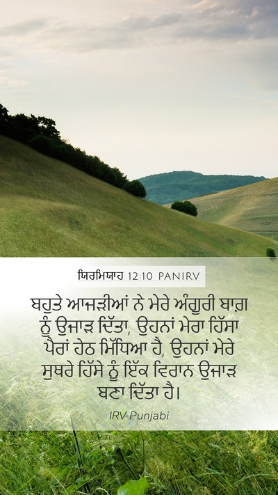 ਯਿਰਮਿਯਾਹ 12:10 PANIRV Bible Verse Image