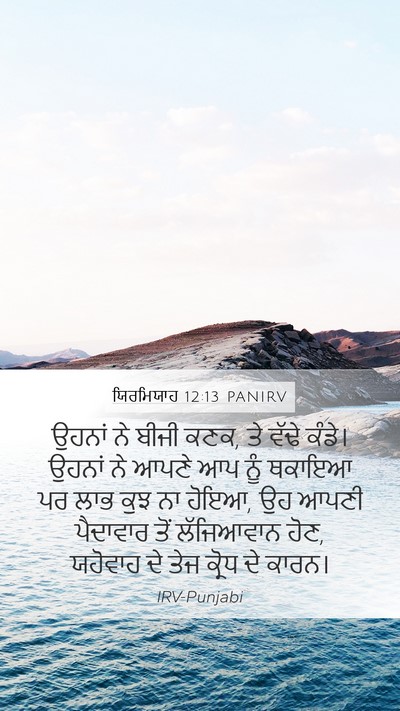 ਯਿਰਮਿਯਾਹ 12:13 PANIRV Bible Verse Image