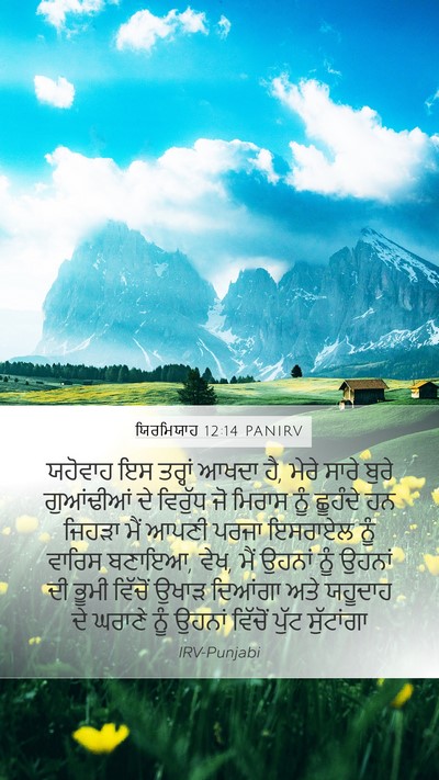 ਯਿਰਮਿਯਾਹ 12:14 PANIRV Bible Verse Image