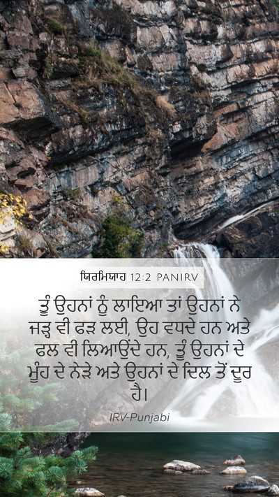 ਯਿਰਮਿਯਾਹ 12:2 PANIRV Mobile Phone Wallpaper - ਤੂੰ ਉਹਨਾਂ ਨੂੰ ਲਾਇਆ - Mobile Bible Verse Wallpaper