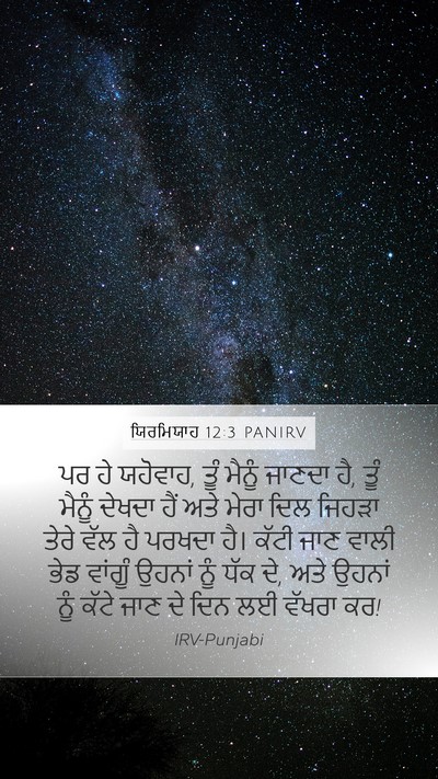 ਯਿਰਮਿਯਾਹ 12:3 PANIRV Bible Verse Image