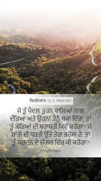 ਯਿਰਮਿਯਾਹ 12:5 PANIRV Bible Verse Image