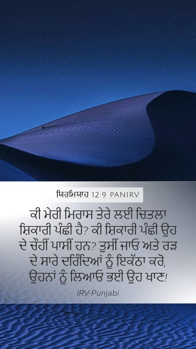 ਯਿਰਮਿਯਾਹ 12:9 PANIRV Bible Verse Image