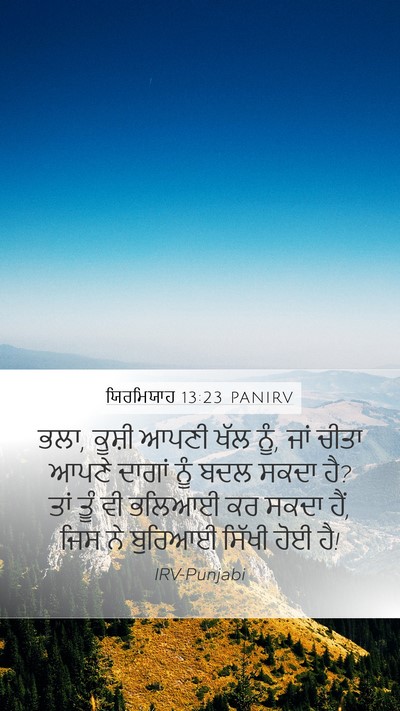 ਯਿਰਮਿਯਾਹ 13:23 PANIRV Bible Verse Image