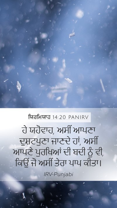 ਯਿਰਮਿਯਾਹ 14:20 PANIRV Bible Verse Image